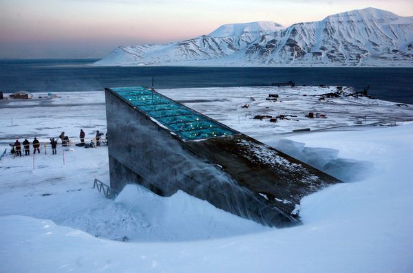 “Doomsday” Seed Vault safeguards our food supply